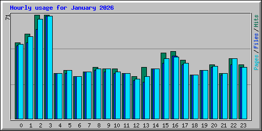 Hourly usage for January 2026