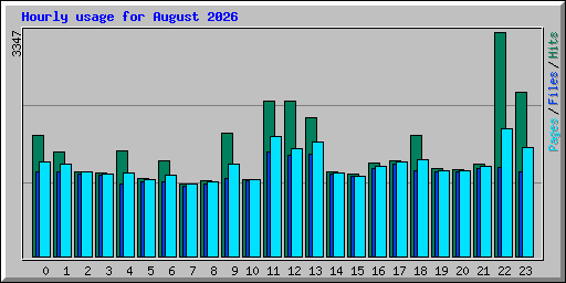 Hourly usage for August 2026
